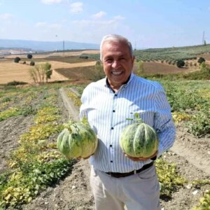 bursanin konakli kavununda uretim iki kat artti ppEWXLCG