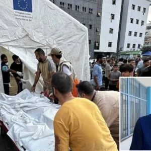 dso duyurdu gazzede sadece bu yil yetersiz beslenme nedeniyle 206 kisi oldu ykBDNcHd