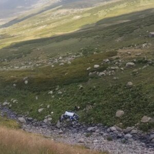 yayladaki minibus kazasi 2 olu 4 yarali qwlBzeIO