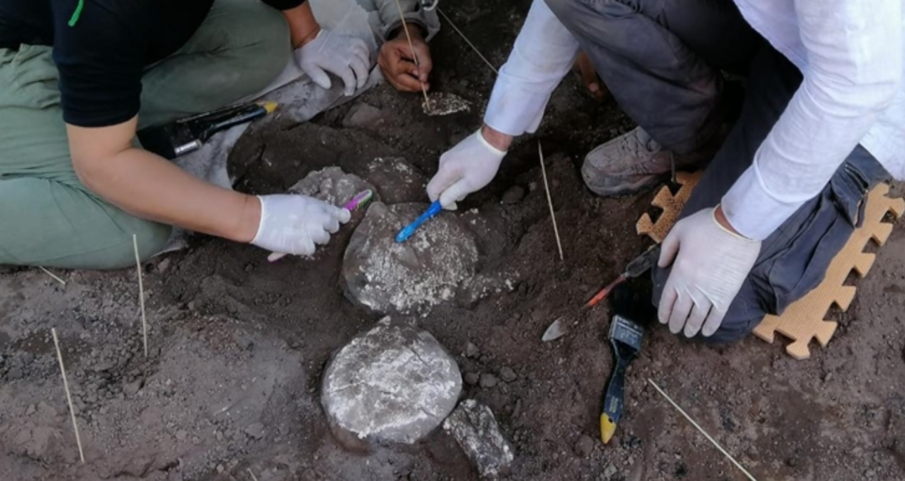 erzurumda kazi yapilan alanda insan kemikleri bulundu dyWHVuT5