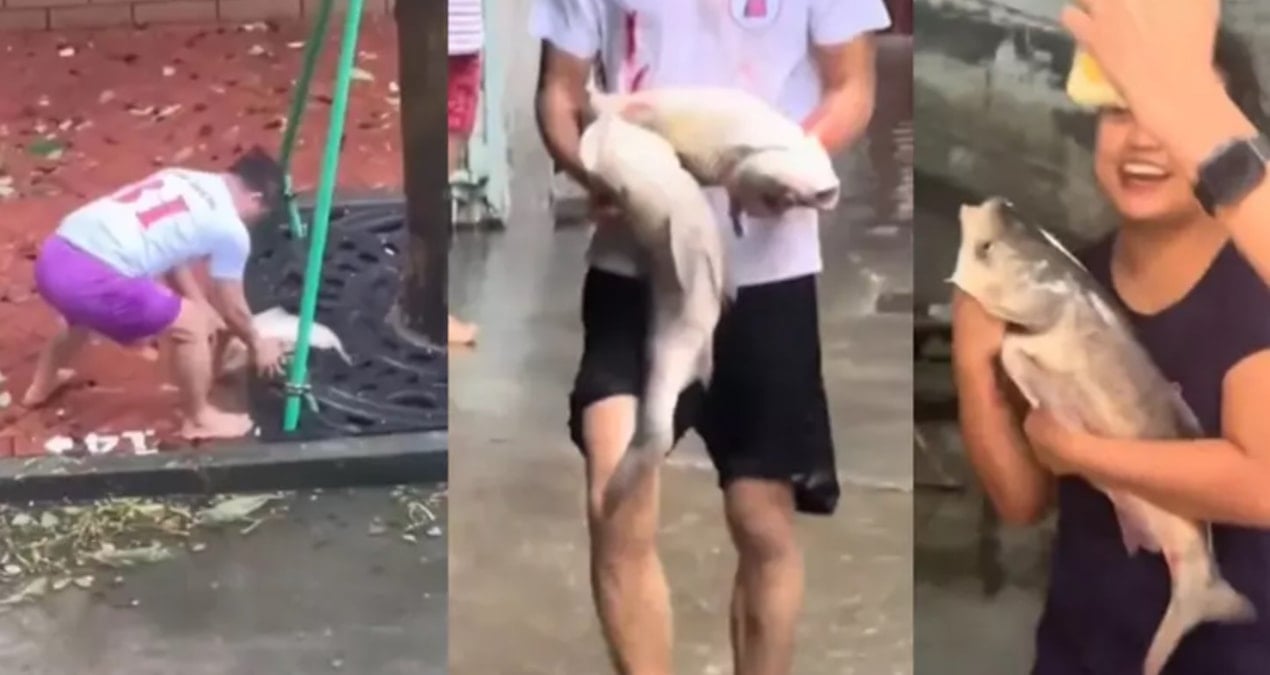 sokaklar balikla doldu kocaman baliklari kucaklayip eve goturduler ydUEDikd