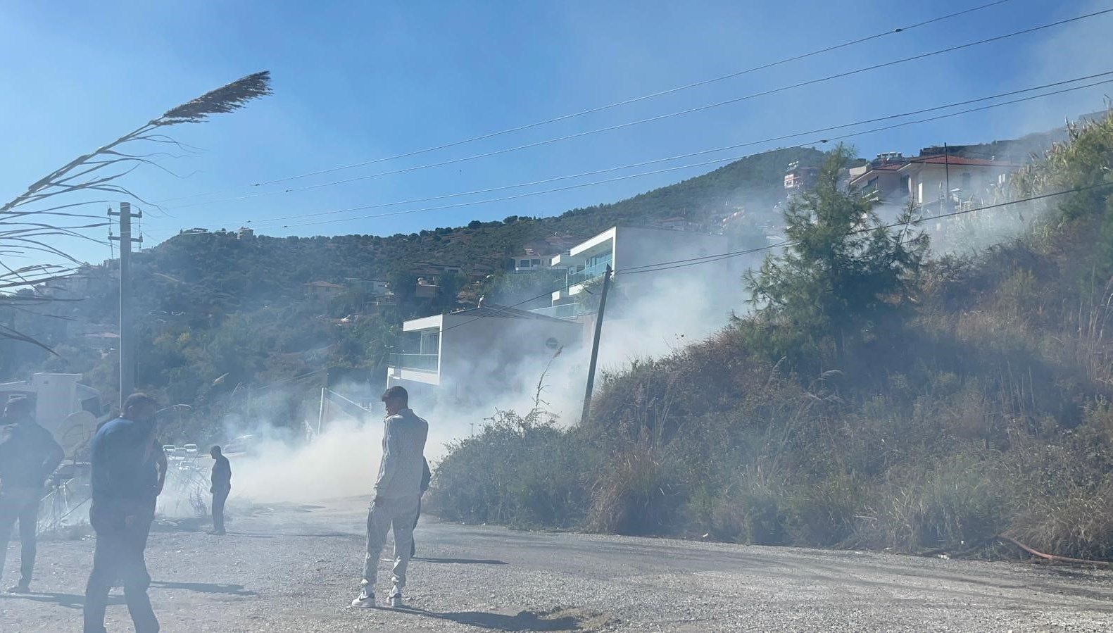 alanyada ormanlik alanda yangin P3gG3h2G.jpg