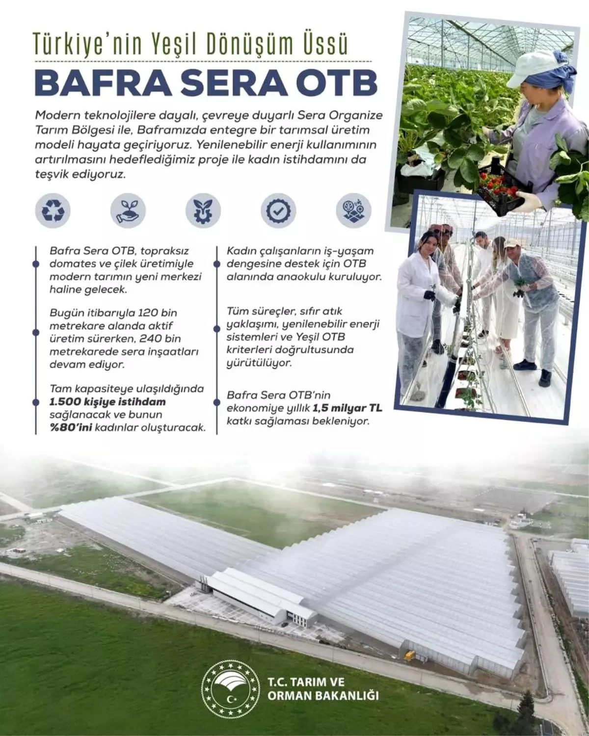 bafra sera organize tarim bolgesi projesi kadin istihdami ve ekonomik katki n1hOAwh7.jpg