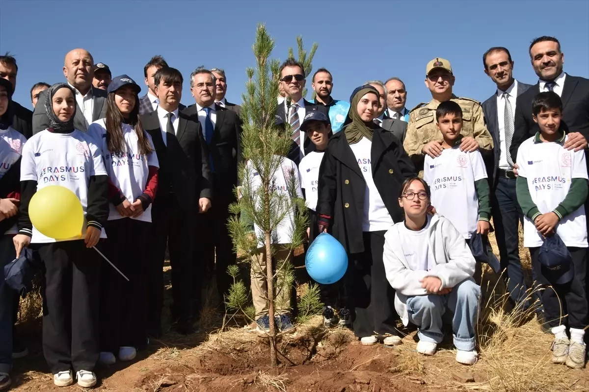 bitliste fidan dikme senligi UMTMZhaJ.jpg