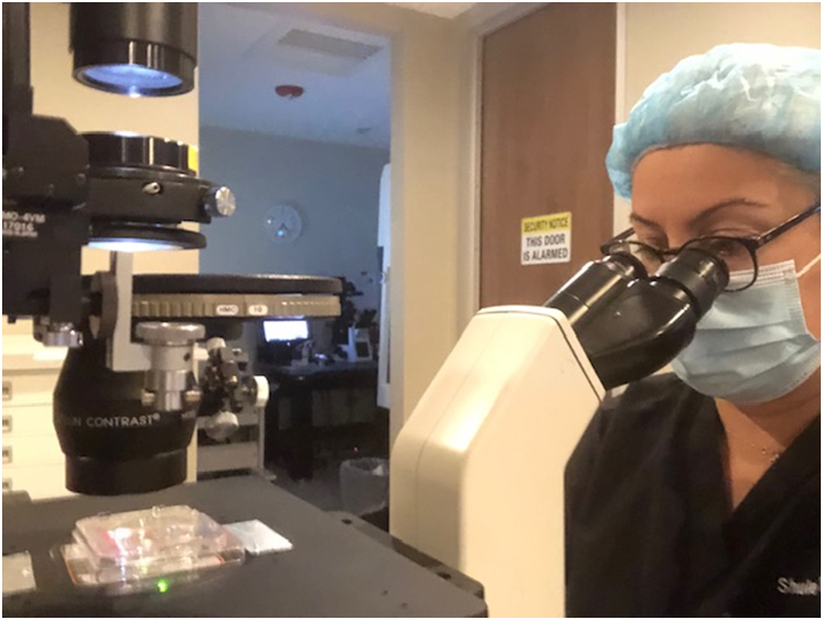 ABD'de Tüp Bebek Sektöründe Türk Kadınının Elde Ettiği Başarılar