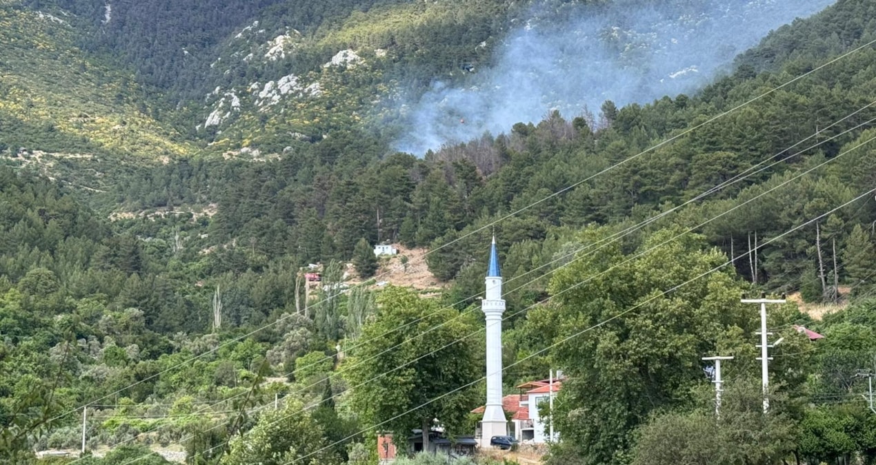 Antalya’da ormanlık alanda yangın